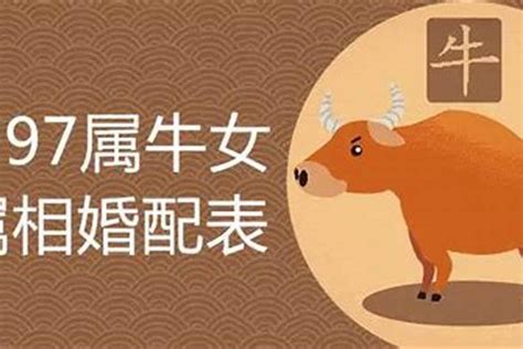 牛和牛相配吗|属牛和什么属相相冲 生肖牛和什么属相不合